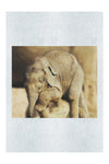 Baby Elephant II - Fine Art Print - Wildlife Category