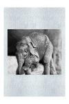 Baby Elephant II - Monochrome Fine Art Print - Wildlife Category