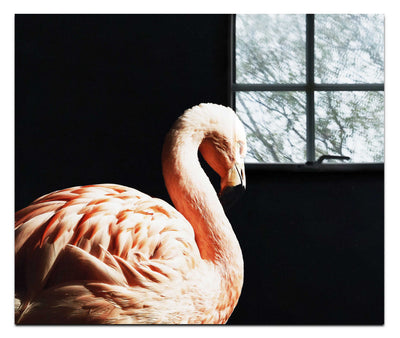Flamingo In The Dark - Acrylic Print - Rare Edition Category