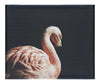 Flamingo In The Dark - Canvas Print - Rare Edition Category