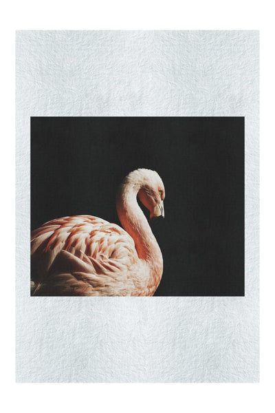 Flamingo In The Dark - Fine Art Print - Rare Edition Category