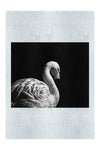 Flamingo In The Dark - Monochrome Fine Art Print - Rare Edition Category