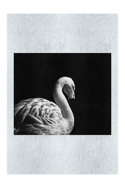 Flamingo In The Dark - Monochrome Fine Art Print - Rare Edition Category