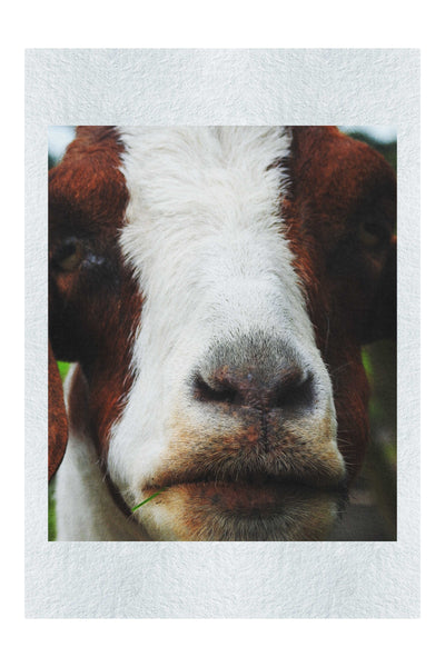 GOAT - Fine Art Print - Rare Edition Category