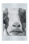 GOAT - Monochrome Fine Art Print - Rare Edition Category