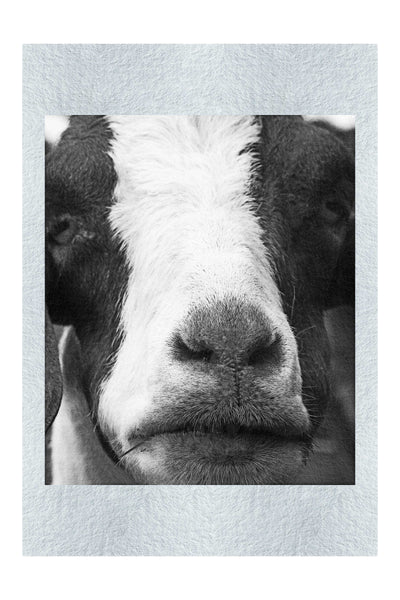 GOAT - Monochrome Fine Art Print - Rare Edition Category