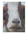 GOAT - Canvas Print - Rare Edition Category
