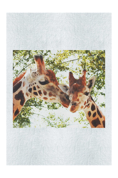 Giraffes Kiss II – Fine Art Print - Wildlife Category