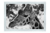 Giraffe Portrait - Monochrome Fine Art Print - Wildlife Category