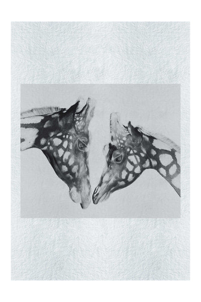 The Giraffes Kiss - Monochrome Fine Art Print - Rare Edition Category