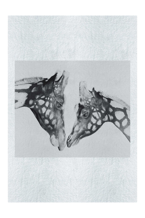 The Giraffes Kiss - Monochrome Fine Art Print - Rare Edition Category