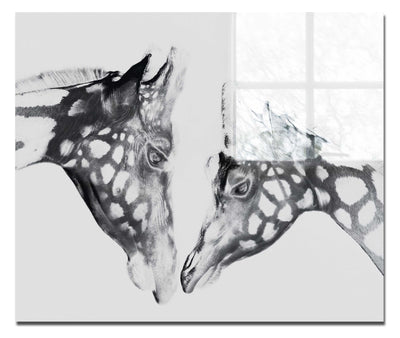 The Giraffes Kiss - Acrylic Print - Rare Edition Category