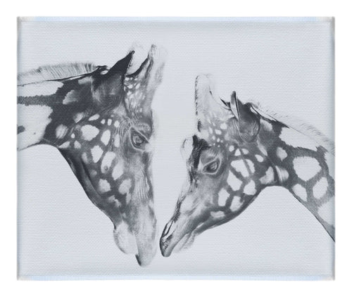 The Giraffes Kiss - Canvas Print - Rare Edition Category