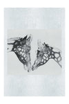 The Giraffes Kiss - Fine Art Print - Rare Edition Category