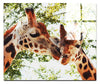 Giraffes Kiss II - Acrylic Print - Wildlife Category