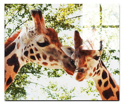 Giraffes Kiss II - Acrylic Print - Wildlife Category