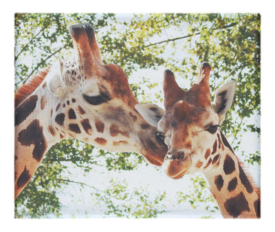 Giraffes Kiss II – Canvas Print - Wildlife Category