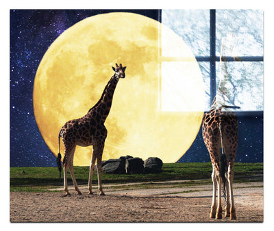 Giraffes Under The Moon - Acrylic Print - Rare Edition Category