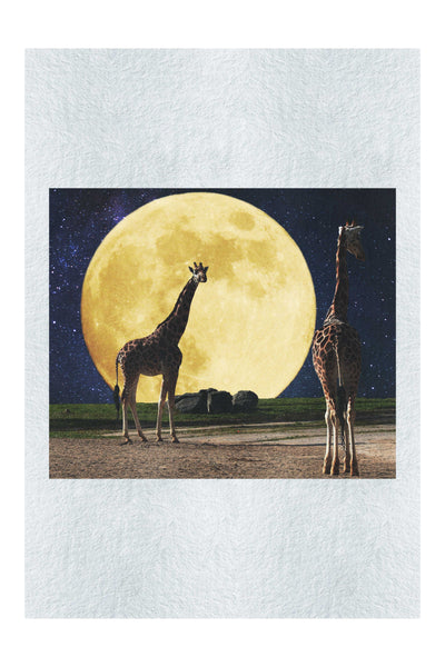Giraffes Under The Moon - Fine Art Print - Rare Edition Category