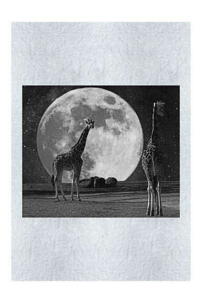Giraffes Under The Moon - Monochrome Fine Art Print - Rare Edition Category