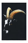 Goats Head - Canvas Print - Wildlife Category