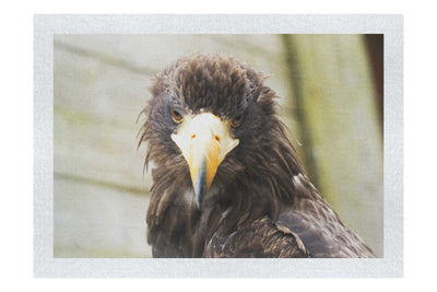 Stylised Golden Eagle - Fine Art Print - Wildlife Category