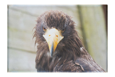 Stylised Golden Eagle - Canvas Print - Wildlife Category