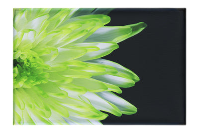 Green Chrysanthemum - Canvas Print - Flowers & Plants Category