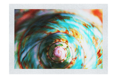 Teal and Orange Turbinidae Shell - Fine Art Print - Aquatic Category