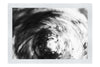 Teal and Orange Turbinidae Shell - Monochrome Fine Art Print - Aquatic Category