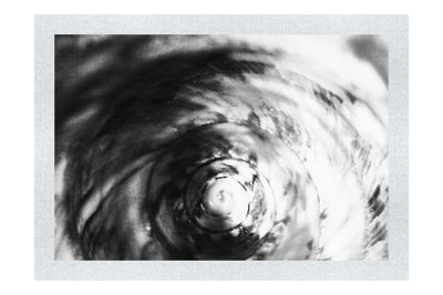Teal and Orange Turbinidae Shell - Monochrome Fine Art Print - Aquatic Category