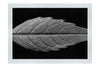 Autumn's Palette: Changing Leaf Portrait - Monochrome Fine Art Print - Flowers & Plants Category