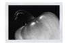 Half Red Pepper - Monochrome Fine Art Print - Food Art Category