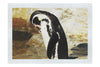 Humboldt Penguin - Fine Art Print - Wildlife Category