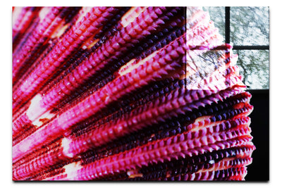 Cerise Scallop Shell - Acrylic Print - Aquatic Art Category