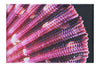 Cerise Scallop Shell - Canvas Print - Aquatic Art Category