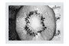 Nature's Fireworks: Kiwi Kaleidoscope - Monochrome Fine Art Print - Food Art Category - Food Art Category