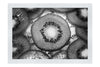 Emerald Mosaic: Kiwi in Detail - Monochrome Fine Art Print - Food Art Category