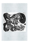The Harlequin and the Dead Dragon - LEDESMA Artwork - Monochrome Fine Art Print - Abstract Category