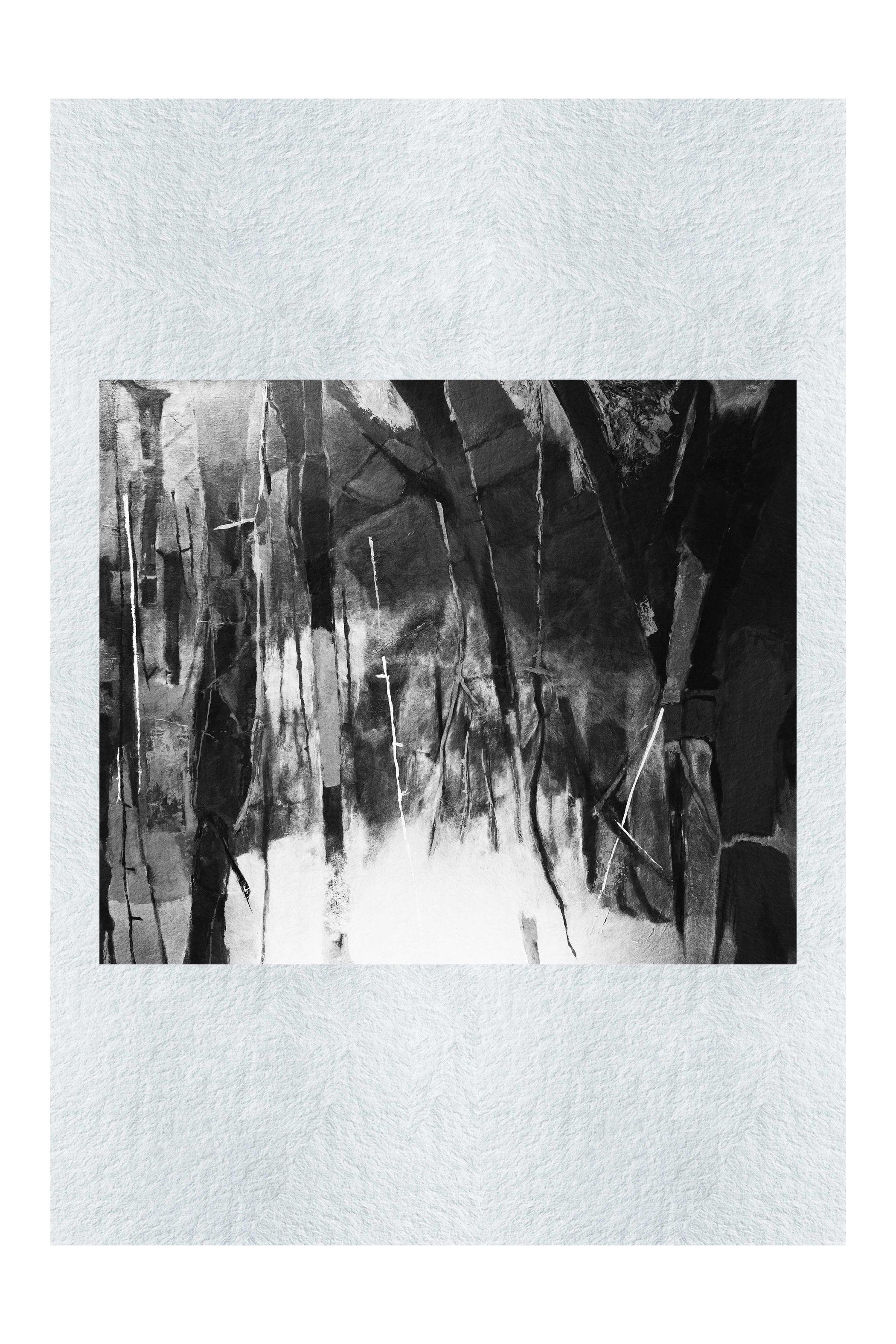 My grandfather's back yard - LEDESMA Artwork - Monochrome Fine Art Print - Abstract Category