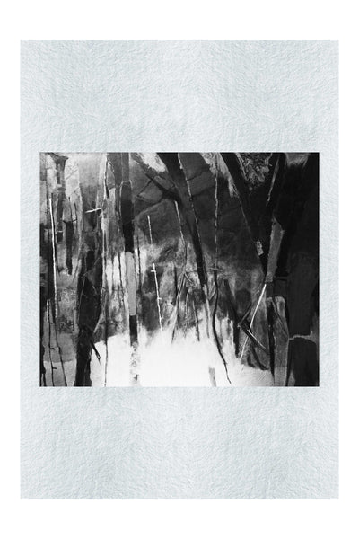 My grandfather's back yard - LEDESMA Artwork - Monochrome Fine Art Print - Abstract Category