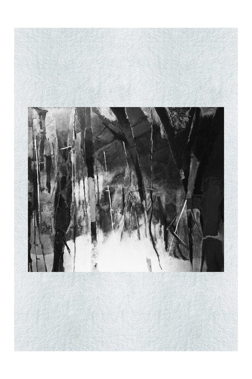My grandfather's back yard - LEDESMA Artwork - Monochrome Fine Art Print - Abstract Category