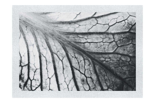 Violet Labyrinth - Monochrome Fine Art Print - Flowers & Plants Category