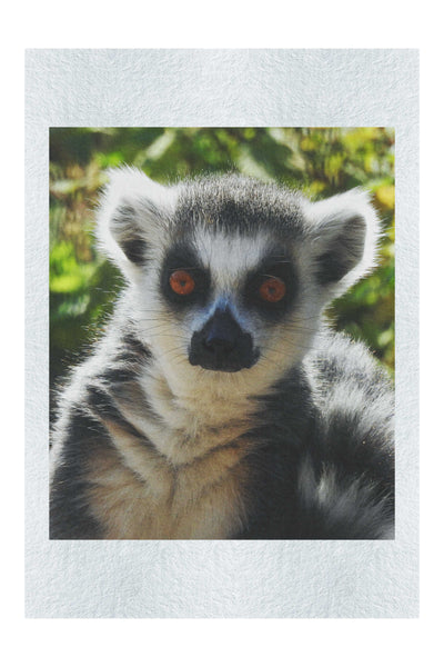 Lemur Selfie - Fine Art Print - Wildlife Category