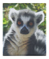 Lemur Selfie - Canvas Print - Wildlife Category