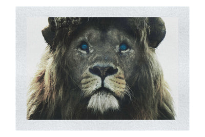 Blue Eyed Lion - Fine Art Print - Wildlife Category