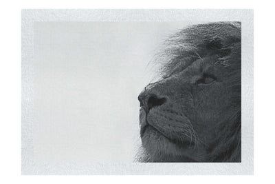 Lion - Fine Art Print - Wildlife Category