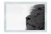 Lion - Monochrome Fine Art Print - Wildlife Category