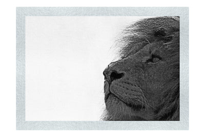 Lion - Monochrome Fine Art Print - Wildlife Category