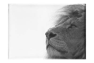 Lion - Canvas Print - Wildlife Category